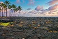 Black lava fields on the Big Island of Hawaii. Royalty Free Stock Photo