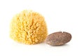 Black lava pumice stone and natural sponge spa or bath utensil used for peeling or callused skin removal over white