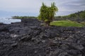 Black lava rock and coastline at alahaka bay Royalty Free Stock Photo