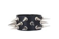 Black Leather Belt with Chrome Studs Royalty Free Stock Photo