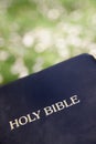 Black leather bible against blurred green grass background