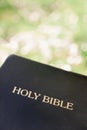 Black leather bible against blurred green grass backgroundHoly b