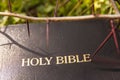 Black leather bible and thorn branch