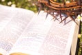 Black leather bible and thorn crown on a flower field Royalty Free Stock Photo