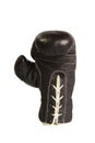 Black leather boxer glove upright isolated on white background Royalty Free Stock Photo