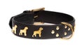 Black leather collar for dog
