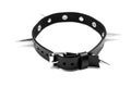 Black leather collar with spikes on a white background.