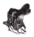 Black leather dressage saddle with mouthbridle isolated Royalty Free Stock Photo