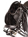 Black leather dressage saddle with mouthbridle isolated on white Royalty Free Stock Photo