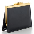 Black Leather Purse