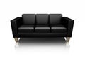 Black leather settee Royalty Free Stock Photo