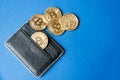 Black leather wallet on a blue background with several gold coins of bitcoins falling out of their pockets.