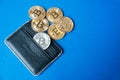 Black leather wallet on a blue background with several gold and silver coins of bitcoins falling out of their pockets.