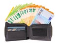 A black leather wallet with credit cards is open, it contains euro banknotes folded in a fan Royalty Free Stock Photo