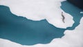 The black-legged kittiwake (Rissa tridactyla) flying over the ice in the Arctic Ocean, 82 degrees North Royalty Free Stock Photo