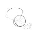 Black lemon hand drawn sketch. Doodle vector illustration. Citrus line art. Fruit slice hand drawing. Lime outline icon