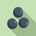 Black lentil seed icon flat vector. Grain food farm