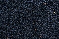 Black Lentils (food background)