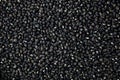 Black Lentils Maa de Daal, Black matpe beans, Black urad, urad whole