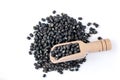 Black Lentils Maa de Daal, Black matpe beans, Black urad, urad whole. Lentils with wooden spoon