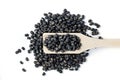 Black Lentils Maa de Daal, Black matpe beans, Black urad, urad whole. Black Lentils with wooden spoon