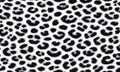 black leopard fur texture seamless pattern. Royalty Free Stock Photo