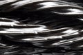 Black licorice Royalty Free Stock Photo