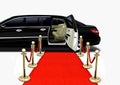 Black Limo on Red Carpet Arrival Royalty Free Stock Photo