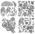 Black line art ornate flower design collection,