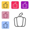 Black line Bell pepper or sweet capsicum icon isolated Black line background. Set icons in color square buttons. Vector