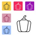 Black line Bell pepper or sweet capsicum icon isolated on white background. Set icons in color square buttons. Vector