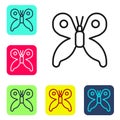 Black line Butterfly icon isolated on white background. Set icons in color square buttons. Vector Royalty Free Stock Photo
