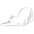 Black line cat stretch oneself on white background. Hand drawing