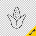 Black line Corn icon isolated on transparent background. Vector