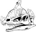 Black Line Dinosaur Dilophosaurus Skull vector illusatration