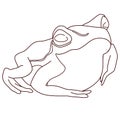 Black line frog on white isolated backdrop stock vector illustration