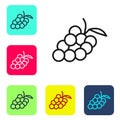 Black line Grape fruit icon isolated on white background. Set icons in color square buttons. Vector Royalty Free Stock Photo