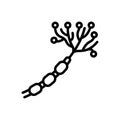 Black line icon for Nerve, neuron and biology