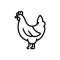 Black line icon for Poultry, hen and chicken