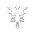 Black line lobster vector illustration isolated on white background Royalty Free Stock Photo