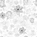 Black line lotus flowers pattern background on white Royalty Free Stock Photo