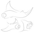 Black line manta on white background. Hand drawing vector graphic fish. Animal illustration. Sketch style