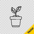 Black line Plant in pot icon isolated on transparent background. Plant growing in a pot. Potted plant sign. Vector