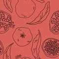 Black line pomegranate seamless pattern on pink backdrop stock vector illustration