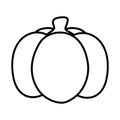 Simple Pumpkin Line Art Icon Vegetable Vector Illustration Royalty Free Stock Photo