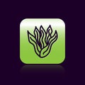 Black line Seaweed icon isolated on black background. Underwater seaweed spirulina, aquatic marine algae plant. Vegan