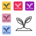 Black line Sprout icon isolated on white background. Seed and seedling. Leaves sign. Leaf nature. Set icons in color Royalty Free Stock Photo