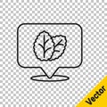 Black line Tobacco leaf icon isolated on transparent background. Tobacco leaves. Vector