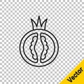 Black line Tomato icon isolated on transparent background. Vector Royalty Free Stock Photo