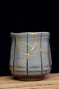 Black Lined Gold Kintsugi Cup